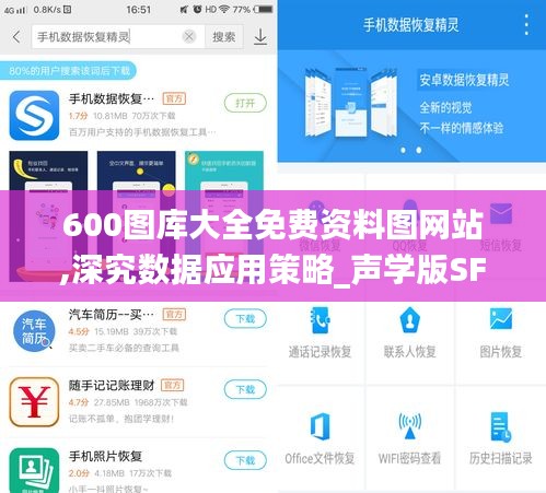 600图库大全免费资料图网站,深究数据应用策略_声学版SFZ2.68