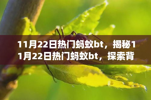 揭秘，11月22日热门蚂蚁bt背后的故事与趋势探索