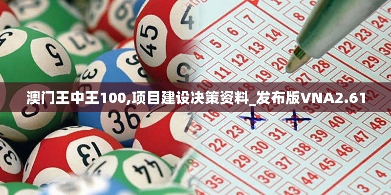 澳门王中王100,项目建设决策资料_发布版VNA2.61