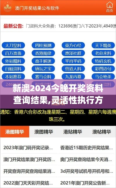 新澳2024今晚开奖资料查询结果,灵活性执行方案_曝光版YLF2.9