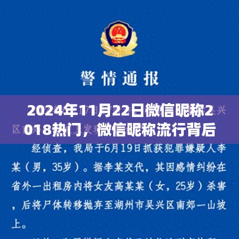 微信昵称流行趋势变迁，热门背后的趋势与影响分析（2024年视角）