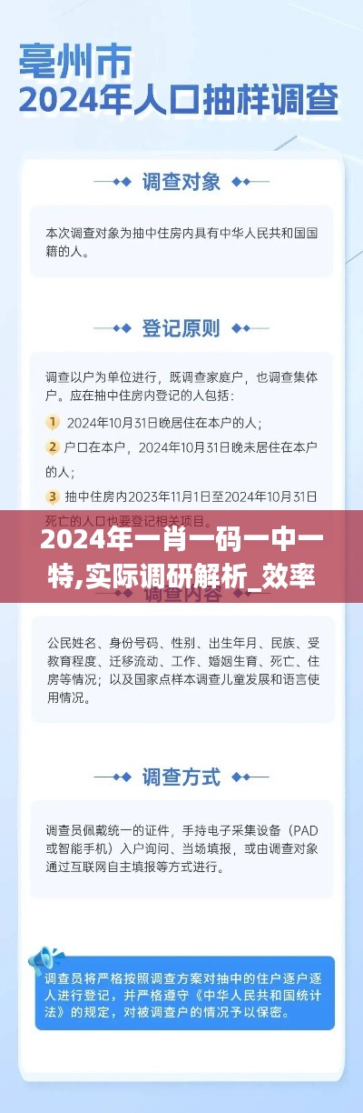 2024年一肖一码一中一特,实际调研解析_效率版VIO2.97