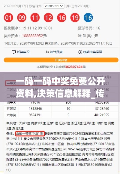 一码一码中奖免费公开资料,决策信息解释_传达版YYL2.21