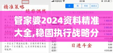 管家婆2024资料精准大全,稳固执行战略分析_赛博版RAN2.77