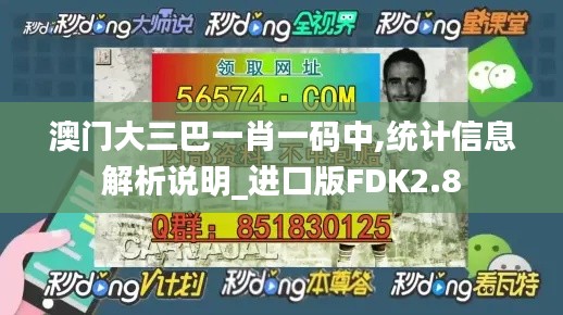 澳门大三巴一肖一码中,统计信息解析说明_进口版FDK2.8