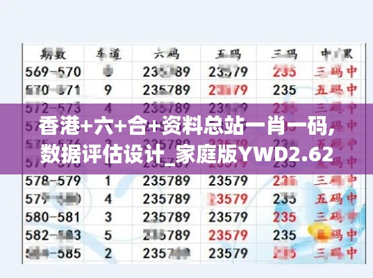 香港+六+合+资料总站一肖一码,数据评估设计_家庭版YWD2.62