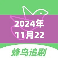 蜂鸟娱乐最新版发布，功能亮点与用户体验展望（2024年11月22日更新）