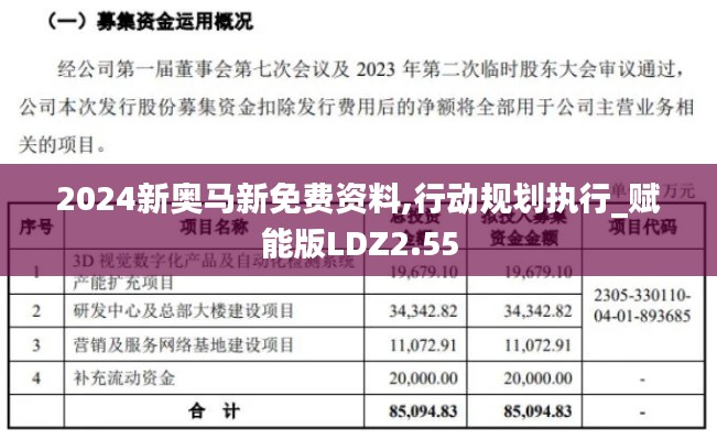 2024新奥马新免费资料,行动规划执行_赋能版LDZ2.55