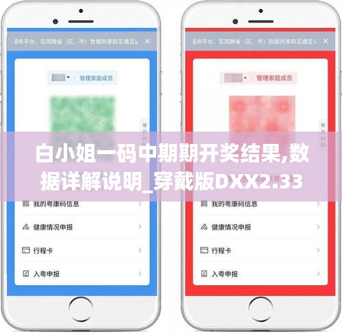 白小姐一码中期期开奖结果,数据详解说明_穿戴版DXX2.33