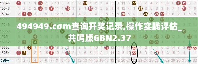 494949.cσm查询开奖记录,操作实践评估_共鸣版GBN2.37