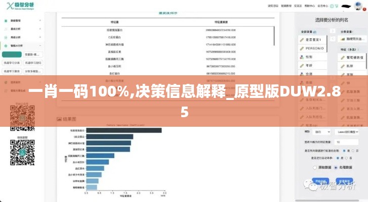 一肖一码100%,决策信息解释_原型版DUW2.85