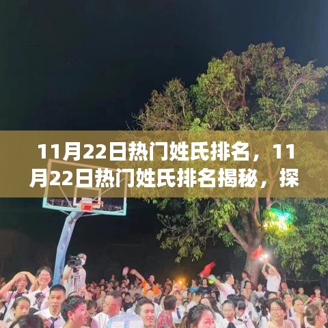 探寻文化脉络中的热门印记，11月22日热门姓氏排名揭秘