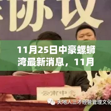 11月25日中豪螺蛳湾最新动态与深度解析