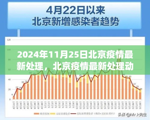 北京疫情最新处理动态及策略进展解读（2024年11月25日版）