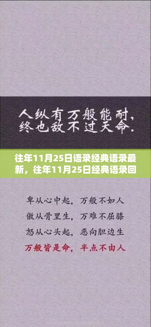 往年11月25日经典语录回顾与分享，经典语录最新分享