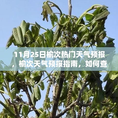 榆次天气预报指南，如何查看并理解11月25日热门天气情况（适用于初学者与进阶用户）