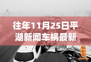 平湖车祸事件揭秘，去年11月25日车祸背后的真相震惊城市