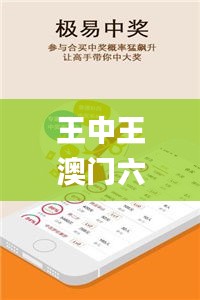 王中王澳门六采合开奖大结果,执行机制评估_UHDLJO9.31