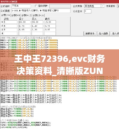 王中王72396,evc财务决策资料_清晰版ZUN9.60