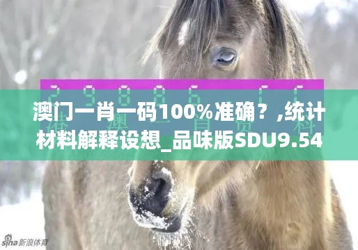 澳门一肖一码100%准确？,统计材料解释设想_品味版SDU9.54