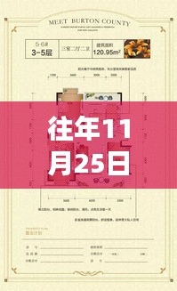 往年11月25日最新动态解析，多维视角探讨0855事件