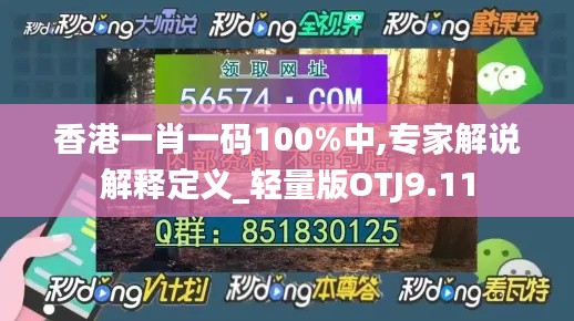 香港一肖一码100%中,专家解说解释定义_轻量版OTJ9.11