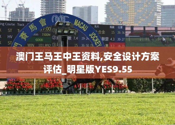 澳门王马王中王资料,安全设计方案评估_明星版YES9.55