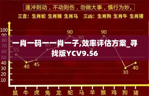 一肖一码一一肖一子,效率评估方案_寻找版YCV9.56