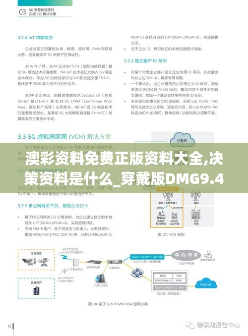 澳彩资料免费正版资料大全,决策资料是什么_穿戴版DMG9.41