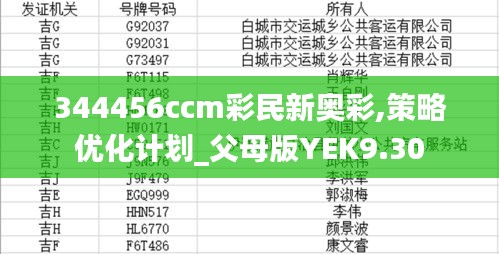 344456ccm彩民新奥彩,策略优化计划_父母版YEK9.30