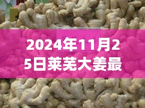 2024年11月25日莱芜大姜最新价格，2024年莱芜大姜的新篇章，价格变迁背后的励志故事，勇敢拥抱学习带来的自信与成就之光