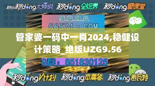 管家婆一码中一肖2024,稳健设计策略_绝版UZG9.56