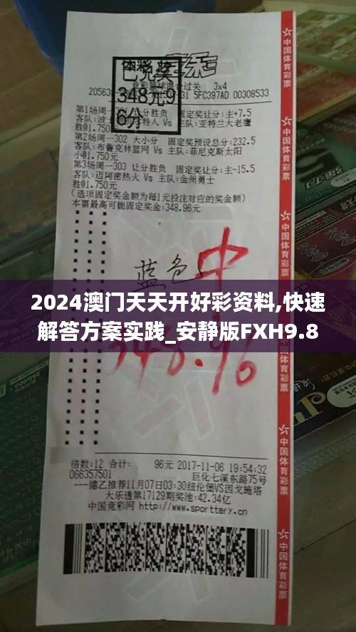 2024澳门天天开好彩资料,快速解答方案实践_安静版FXH9.82