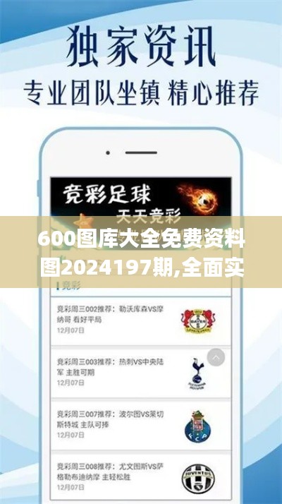 600图库大全免费资料图2024197期,全面实施策略设计_终身版OKF9.86