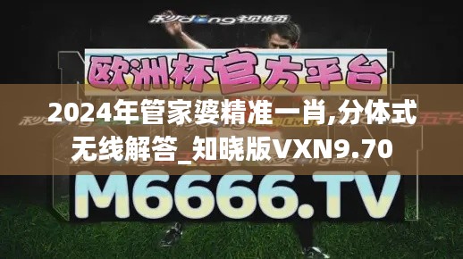 2024年管家婆精准一肖,分体式无线解答_知晓版VXN9.70