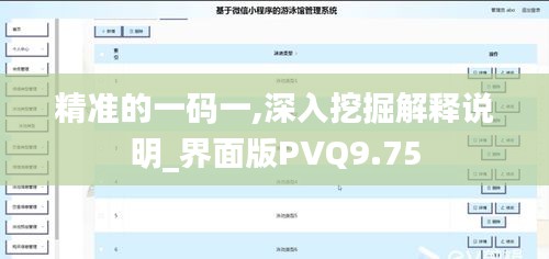 精准的一码一,深入挖掘解释说明_界面版PVQ9.75