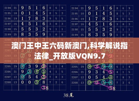 澳门王中王六码新澳门,科学解说指法律_开放版VQN9.7