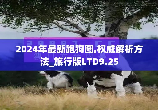 2024年最新跑狗图,权威解析方法_旅行版LTD9.25