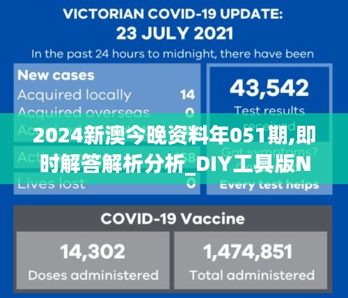 2024新澳今晚资料年051期,即时解答解析分析_DIY工具版NWS9.71