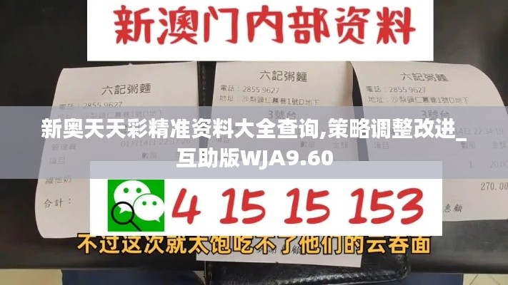 新奥天天彩精准资料大全查询,策略调整改进_互助版WJA9.60