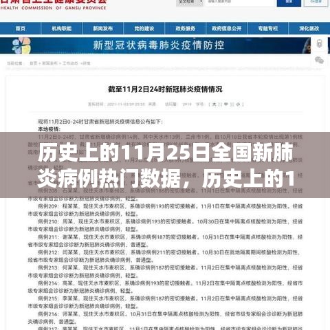 全国新冠肺炎病例数据分析，11月25日数据热点与步骤指南