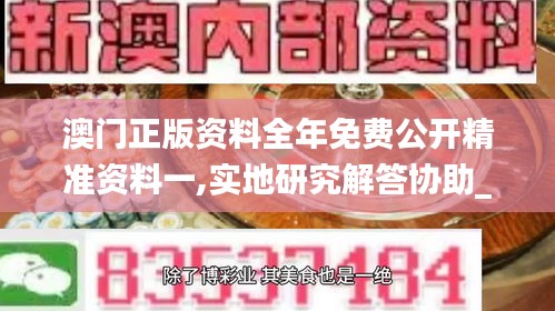 澳门正版资料全年免费公开精准资料一,实地研究解答协助_创意版MTB9.6