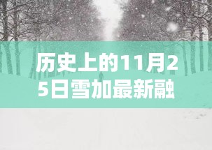 历史上的11月25日雪与最新融资动态，指南与步骤概览