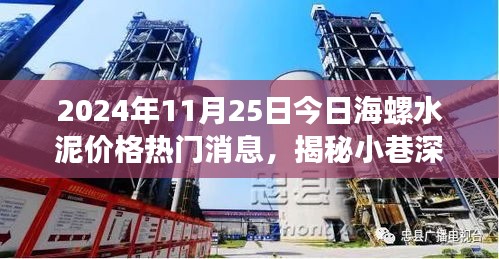 2024年11月25日今日海螺水泥价格热门消息，揭秘小巷深处的海螺水泥价格，一场独特小店的价格之旅