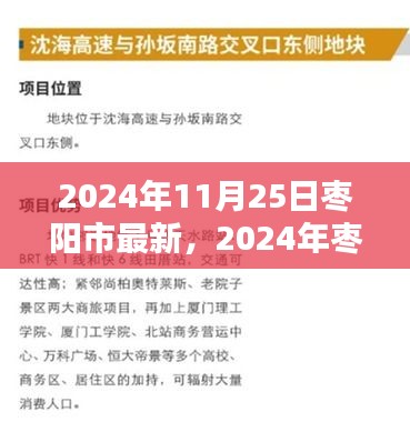 2024年枣阳市任务完成指南，一步步教你达成目标