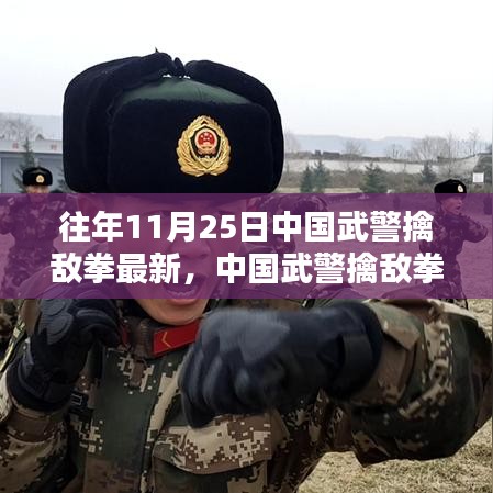 中国武警擒敌拳最新步骤指南，初学者与进阶者的必备手册