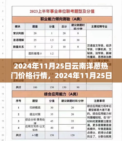 2024年11月25日云南洋葱热门价格行情，2024年11月25日云南洋葱热门价格行情深度解析