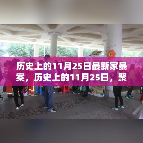 聚焦历史11月25日家暴案，深刻影响与反思