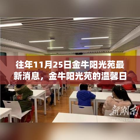 金牛阳光苑，温馨日常的特别趣事与情感纽带——11月25日最新消息回顾