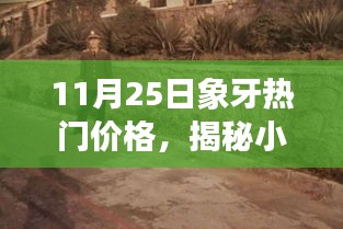 揭秘象牙宝藏，独家探秘象牙热门价格内幕（11月25日）